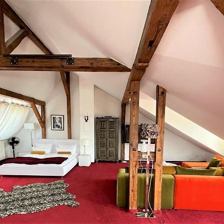 City Penthouse Mit Dachterrasse Fribourg im Breisgau Extérieur photo